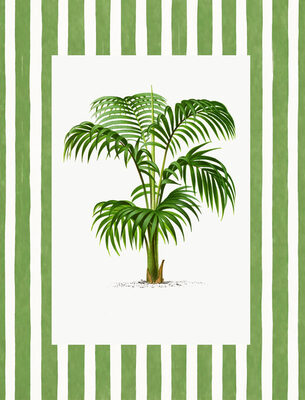 Image Not Available